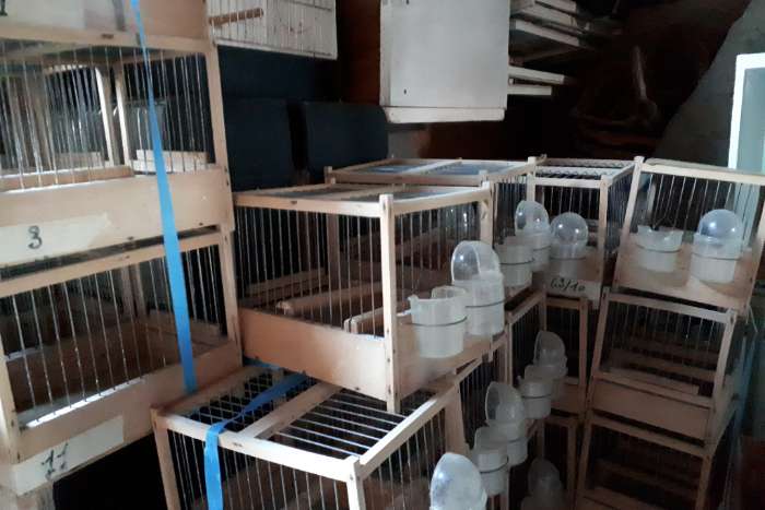 materialen om kanaries/vogels te kweken