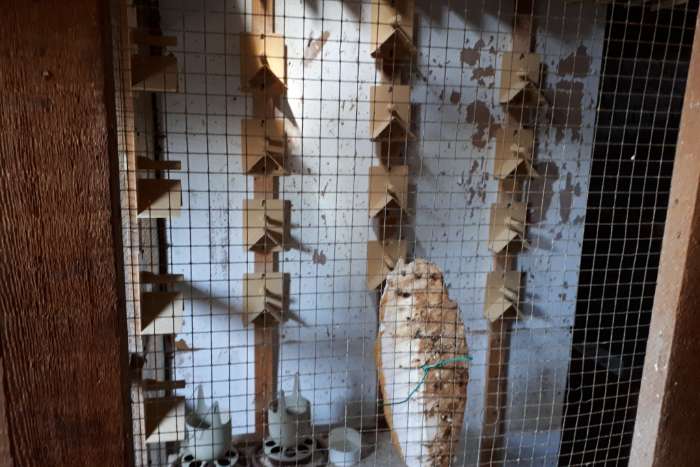 materialen om kanaries/vogels te kweken