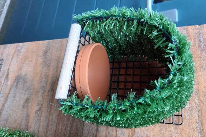 nestkasten tropische vogels,