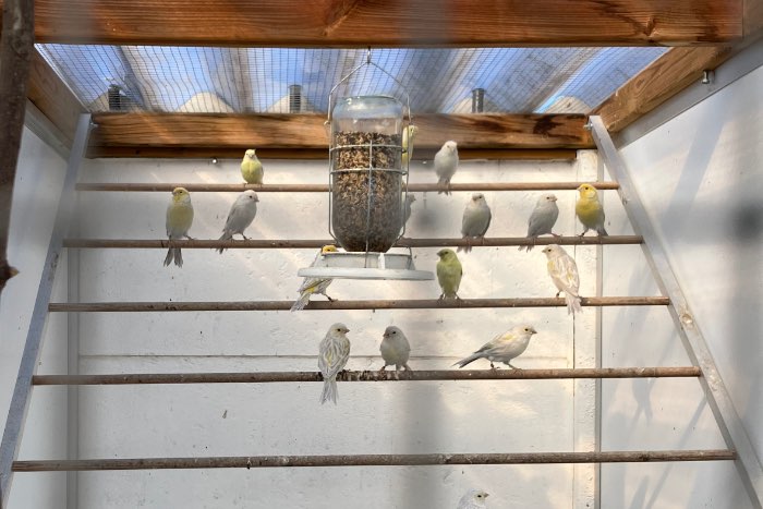 4 koppels agaat opaal geel mozaïek