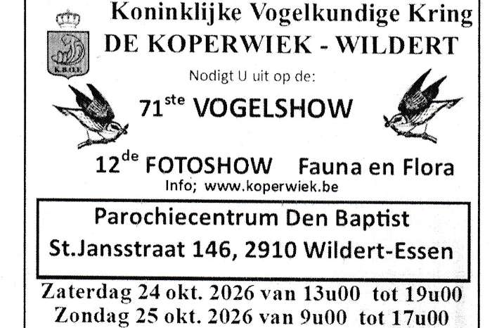 tt de koperwiek