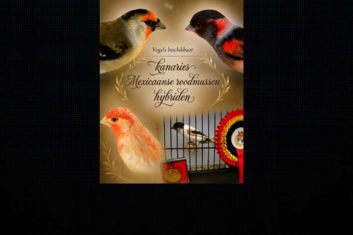 verschillende vogels