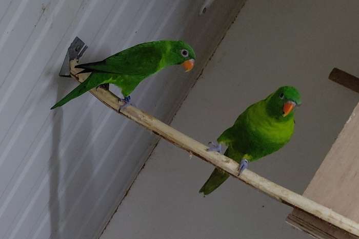 weberlori