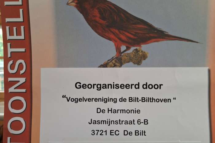 vogelshow