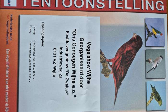 vogelshow wijhe