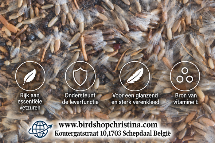 kleine distel & cichorei premium blend - herb bird mi