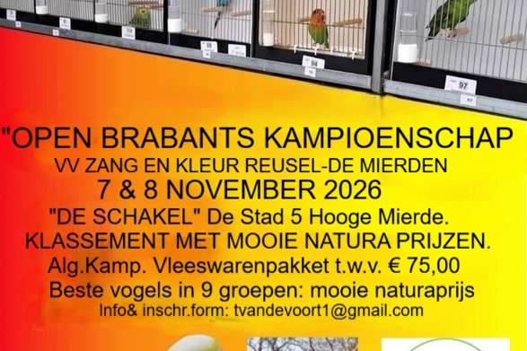 open brabants kampioenschap