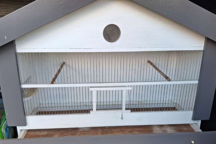 buitenkooi