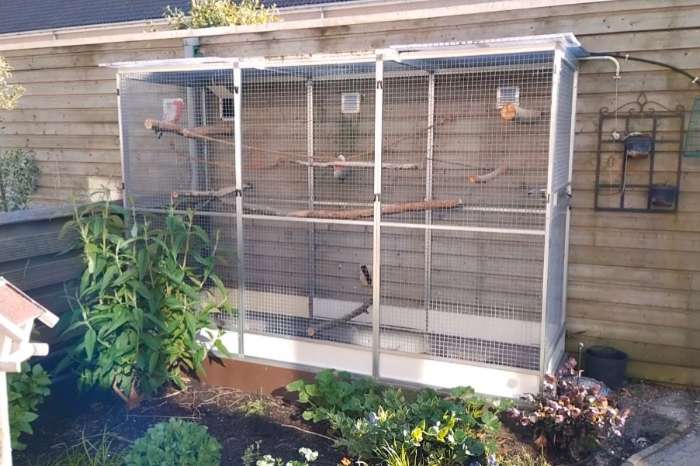 papegaaien voliere 3 mtr lang x 1 mtr breed x 2 mtr hoog