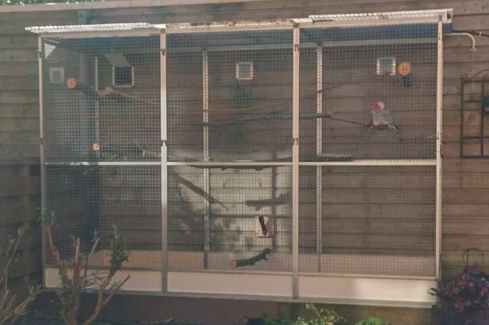 papegaaien voliere 3 mtr lang x 1 mtr breed x 2 mtr hoog