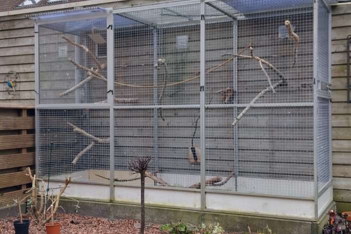 papegaaien voliere 3 mtr lang x 1 mtr breed x 2 mtr hoog