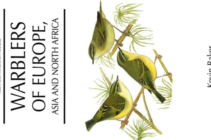 warblers of europe, asia and north africa