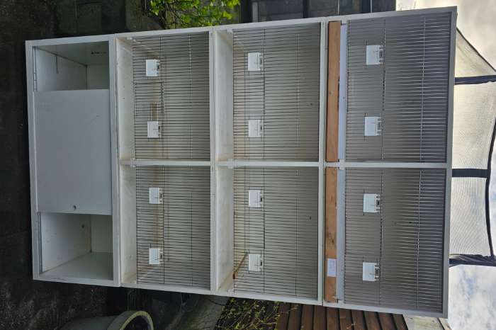 3 delige kunstof broedkooien te koop