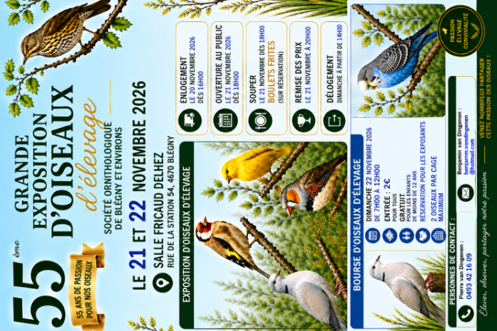exposition d’oiseaux d’élevage ainsi que bourse