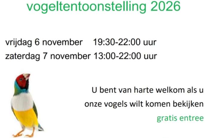 jaarlijkse tentoonstelling vogelvreugd houten