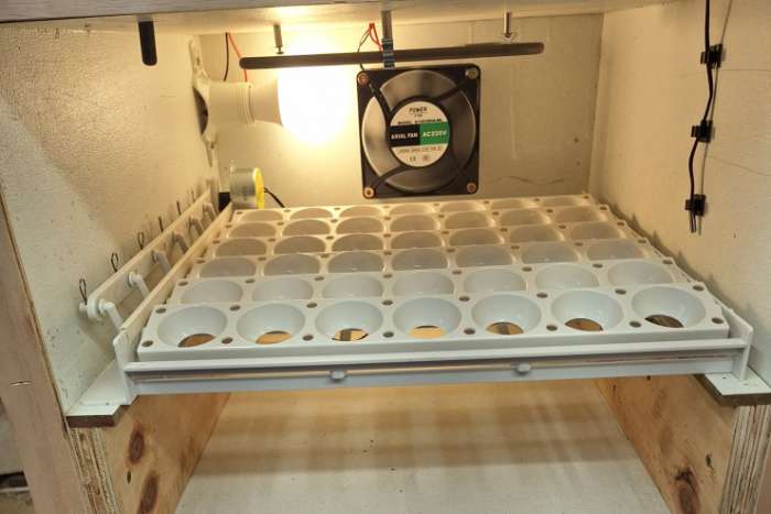 automatische broedkast