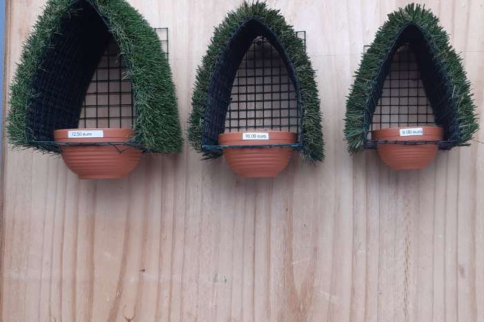 nestkasten tropische vogels,
