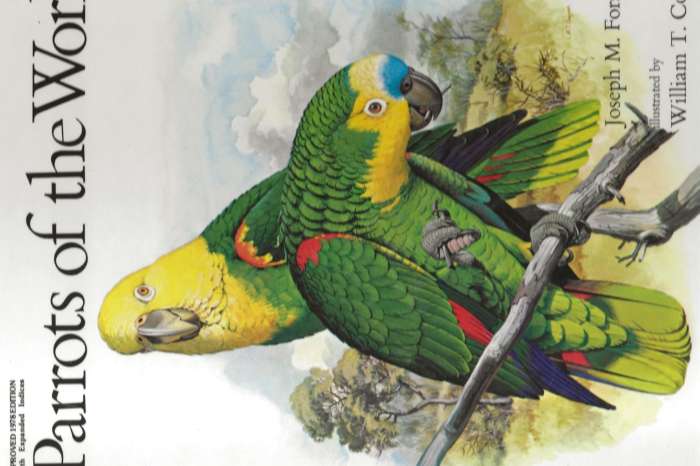 parrots of the world
