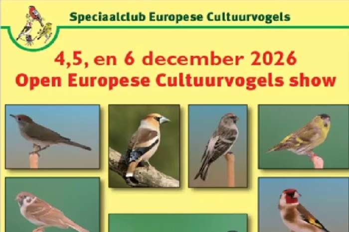 de grootste europese cultuurvogelshow van nederland