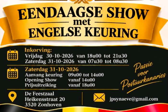 postuur kanarie club zonhoven