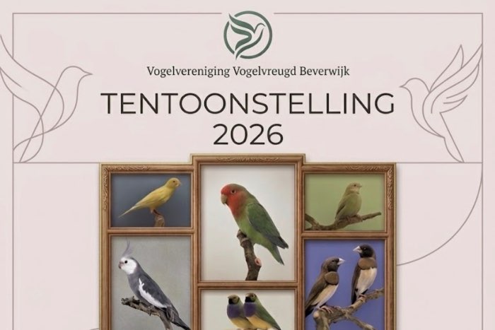 tentoonstelling vogelvereniging vogelvreugd beverwijk