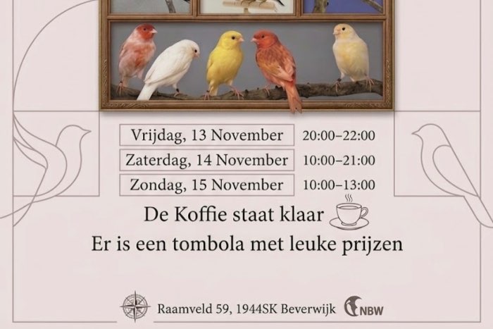 tentoonstelling vogelvereniging vogelvreugd beverwijk