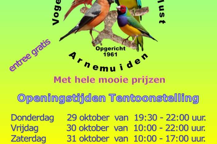 deze week: donderdag t/m zaterdag