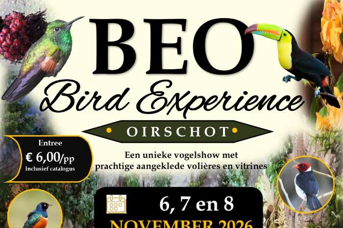 voorverkoop levende en diepvries insecten op bird experience oi