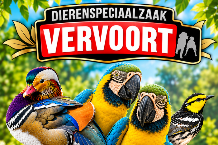 voorverkoop levende en diepvries insecten op bird experience oi