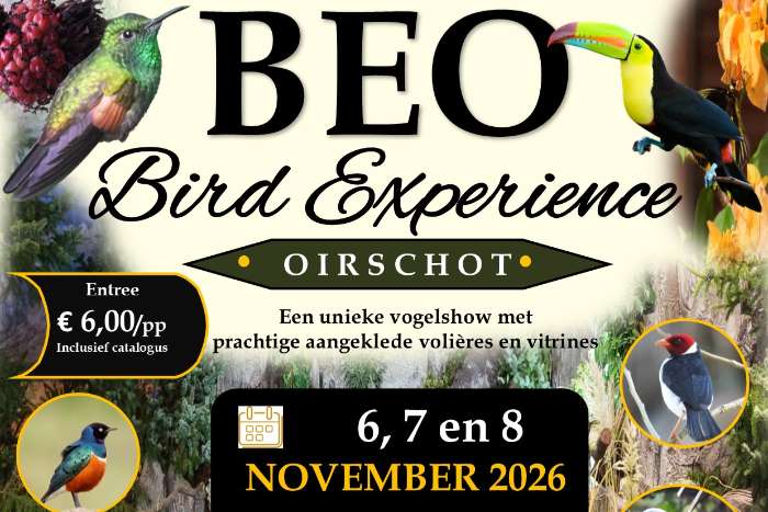 voorverkoop levende en diepvries insecten op bird experience oir