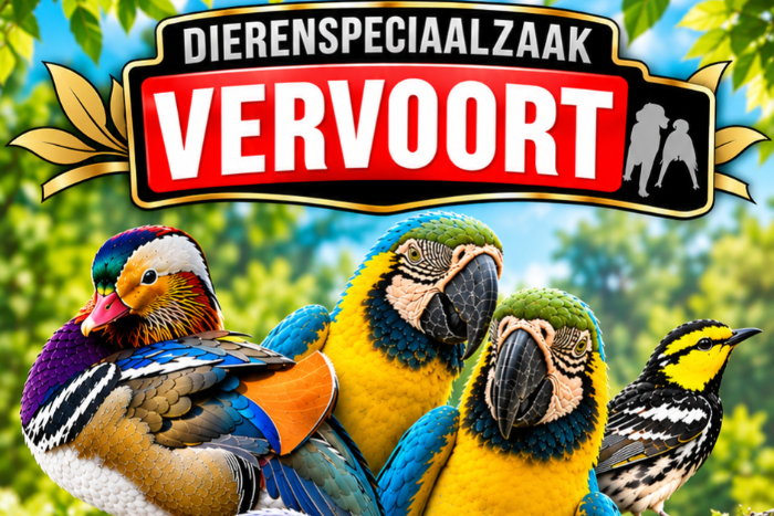 voorverkoop levende en diepvries insecten op bird experience oir