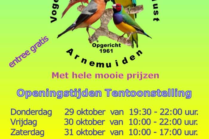 deze week: donderdag t/m zaterdag