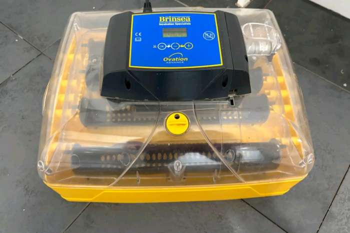 incubator