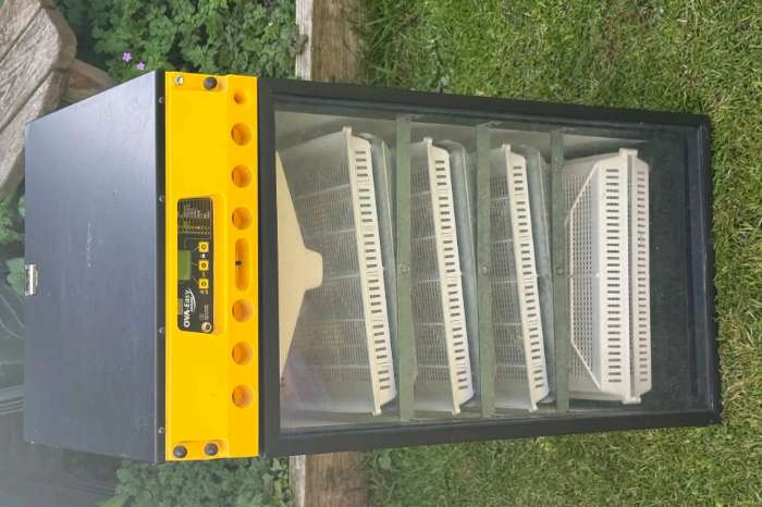 brand new incubator