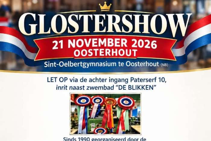 eendaagse glostershow