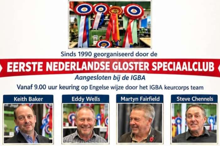 eendaagse glostershow