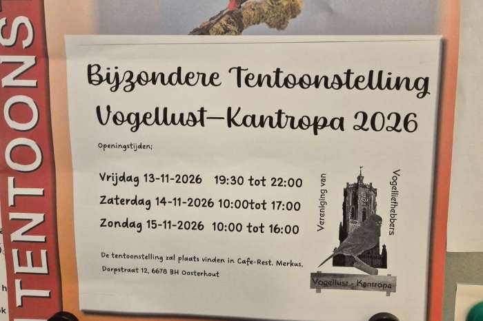tentoonstelling oosterhout gelderland