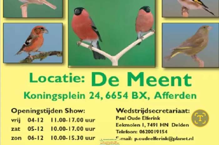 de grootste europese cultuurvogelshow van nederland
