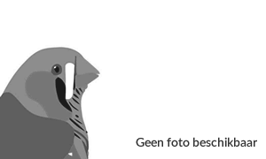 verdeler bird supreme